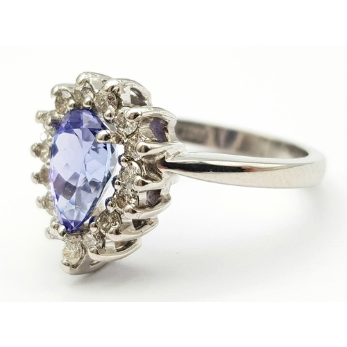 109 - An 18 K white gold ring with a pear cut tanzanite (1.71 carats) surrounded by a halo of diamonds, ri... 