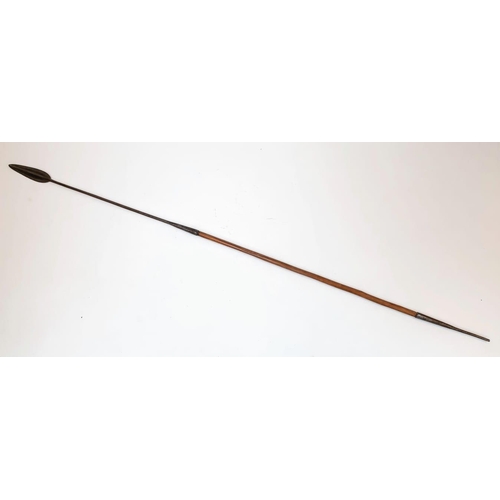 1645 - An Antique 19th Century Zulu Isijula/Umkhonto Throwing Spear. Very Good Condition 170cm Length