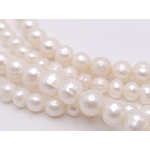 592 - A Two Row Cultured Pearl Necklace with Sterling Silver and White Stone Clasp. 80cm length.