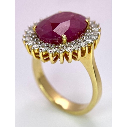 909 - An 18K Ruby and Diamond Ring. Central oval cut 7.75ct ruby with a diamond surround. Comes with a IGI... 