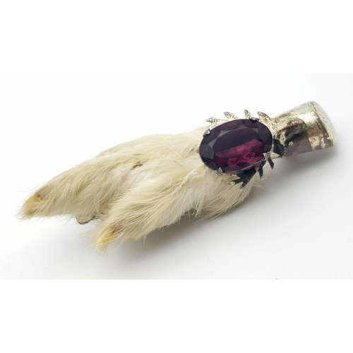 1359 - A Vintage Scottish Grouse Foot Brooch. Purple gemstone decoration. 8cm.