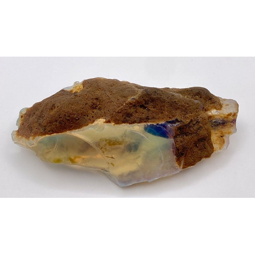 217 - A highly collectable, large (430 carats!), totally natural (uncut and untreated) OPAL with mainly bl... 