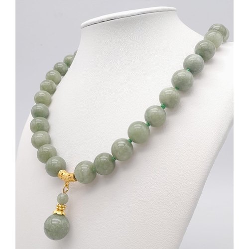 435 - A Celadon Jade Bead Necklace with Drop Pendant. Rich 12mm jade beads. Gilded drop pendant - 4cm. Nec... 