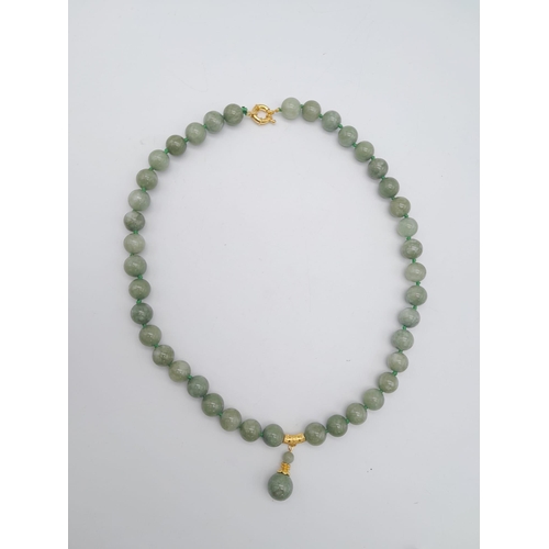 435 - A Celadon Jade Bead Necklace with Drop Pendant. Rich 12mm jade beads. Gilded drop pendant - 4cm. Nec... 