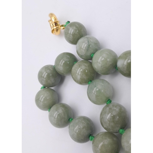 435 - A Celadon Jade Bead Necklace with Drop Pendant. Rich 12mm jade beads. Gilded drop pendant - 4cm. Nec... 