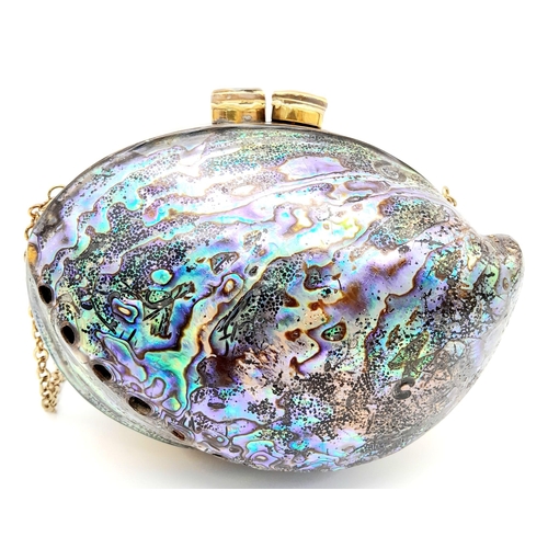 160 - A splendid rare and amazing evening bag, uniquely made from abalone mother of pearl! Supplied with l... 