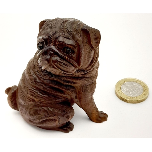 160 - A very collectable, exquisitely hand carved on box wood Pug dog with amazing detail. Probably of Jap... 