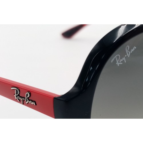 347 - A Pair of Ray Ban Sunglasses with Case.