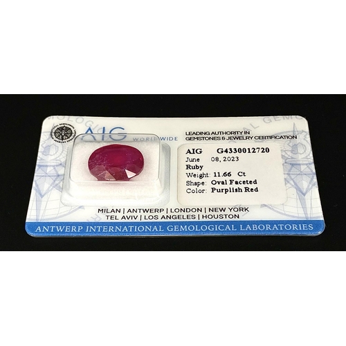 165 - An 11.66ct Ruby Gemstone - AIG Milan Sealed and Certified.