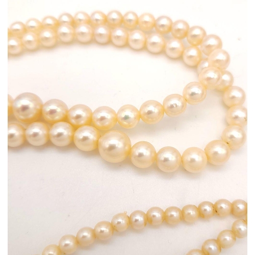 408 - A Vintage Two Row Graduated Pearl Necklace with a 9K Gold Clasp. 42cm