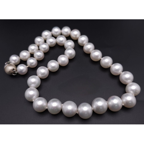 134 - A Sumptuous Natural South Sea White Pearl Necklace. Rich white 8-14mm pearls with silver clasp. 42cm... 