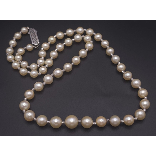 281 - A Graduated Golden South Sea Pearl Necklace. 42cm.