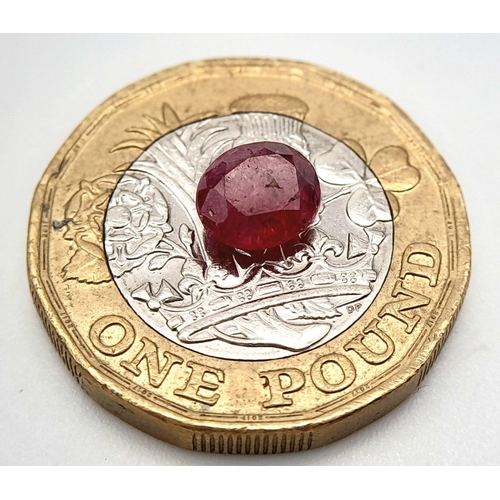 1657 - A 1.16ct Untreated Afghan Ruby Gemstone - GFCO Certified.