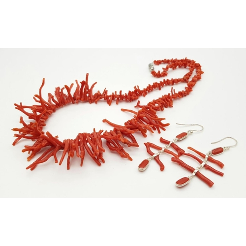 196 - A rare Mediterranean red coral necklace and matching earrings set in a presentation box. Sterling si... 