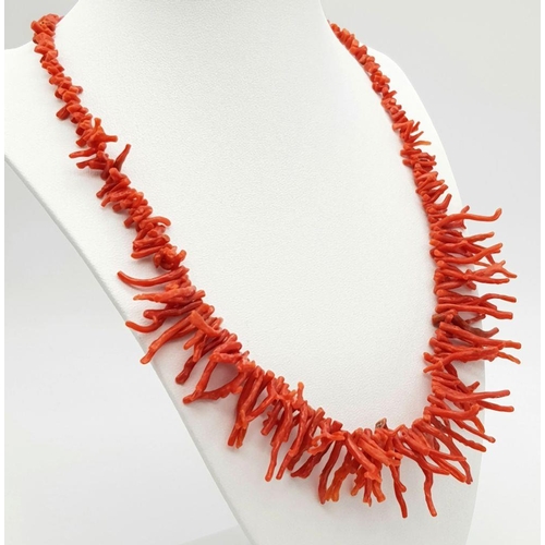 196 - A rare Mediterranean red coral necklace and matching earrings set in a presentation box. Sterling si... 