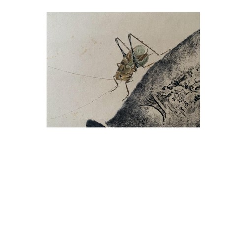 50 - A Chinese Bush Cricket - Chinese ink and Watercolour on paper Scroll (Custom made paper exclusive to... 