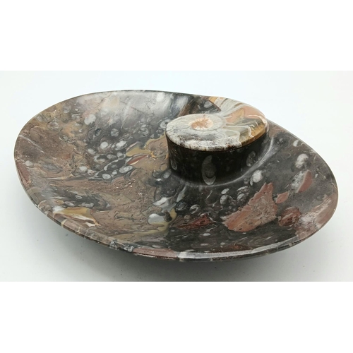 209 - A very ornamental, oval fossiliferous stone plate with a large, polished, Moroccan Ammonite of Ordov... 