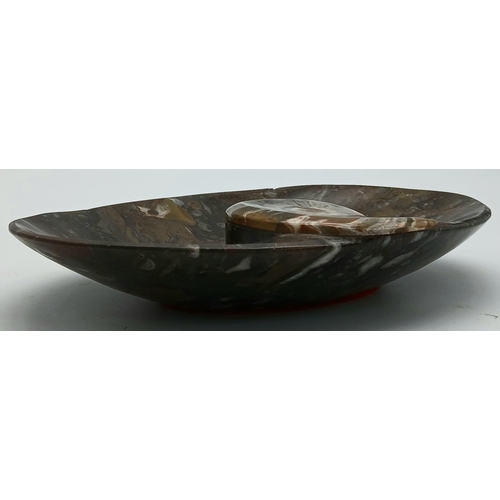 209 - A very ornamental, oval fossiliferous stone plate with a large, polished, Moroccan Ammonite of Ordov... 