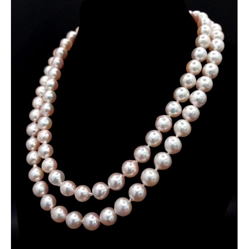 512 - The name that says everything! A new/unused AKOYA pearl necklace with a single strand of perfectly s... 