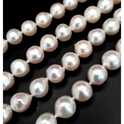 512 - The name that says everything! A new/unused AKOYA pearl necklace with a single strand of perfectly s... 