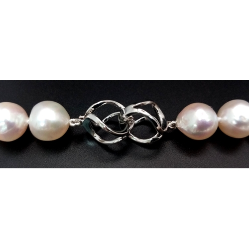 512 - The name that says everything! A new/unused AKOYA pearl necklace with a single strand of perfectly s... 