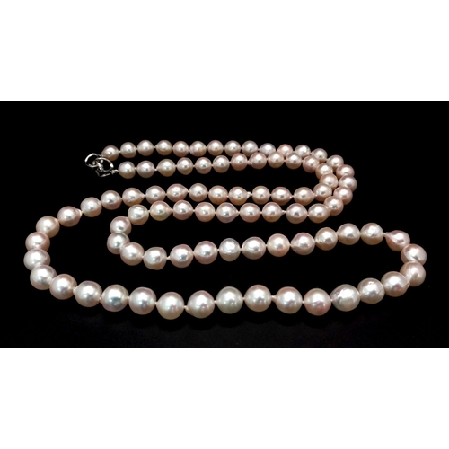 512 - The name that says everything! A new/unused AKOYA pearl necklace with a single strand of perfectly s... 