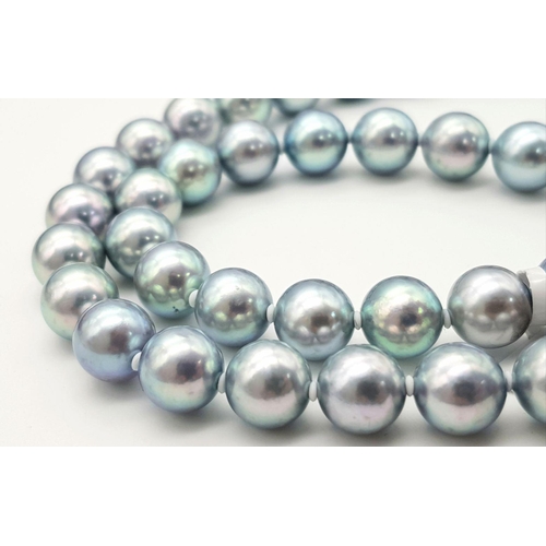 513 - Avery attractive and elegant, quality grey pearl necklace. The perfectly spherical natural 9 to 9.5 ... 