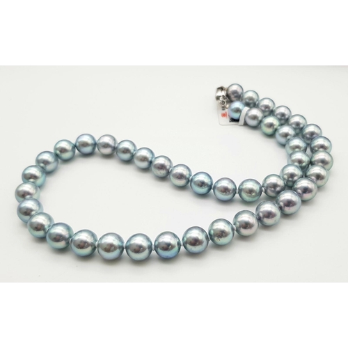 513 - Avery attractive and elegant, quality grey pearl necklace. The perfectly spherical natural 9 to 9.5 ... 