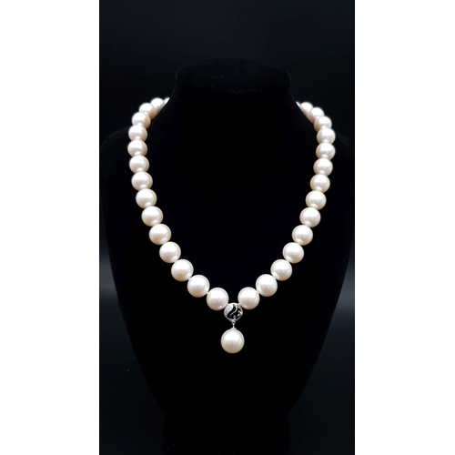 842 - A MIYU quality pearl necklace and assorted earrings in original wooden presentation box with tags. T... 