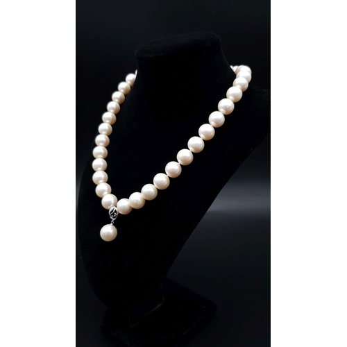 842 - A MIYU quality pearl necklace and assorted earrings in original wooden presentation box with tags. T... 