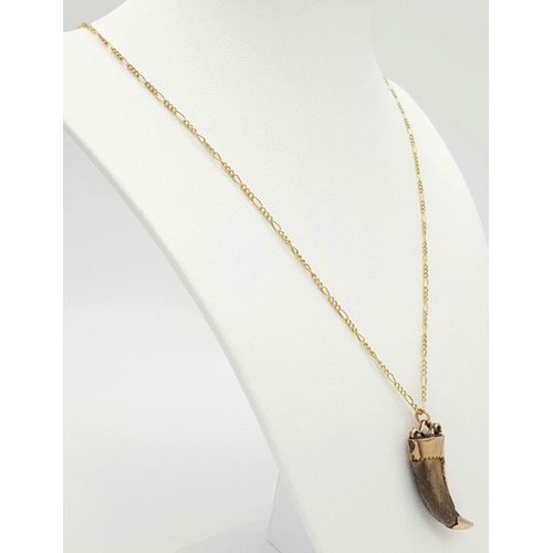 681 - A 9 K yellow gold Figaro chain necklace with a gold mounted tiger claw pendant. Chain length: 64 cm,... 