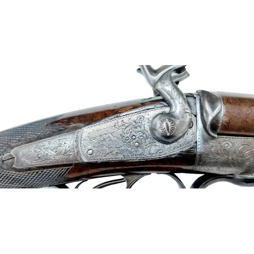 585 - A Double Damascus Barrel, 14 bore pinfire, Underlever Action Shotgun. Made by World famous Royal gun... 