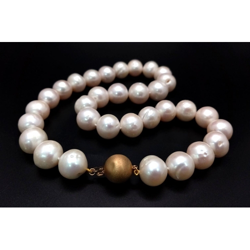 652 - A Large Pearl Bead Necklace with 9K Gold Fancy Clasp. Pearls - 14/15mm. Necklace length - 42cm.