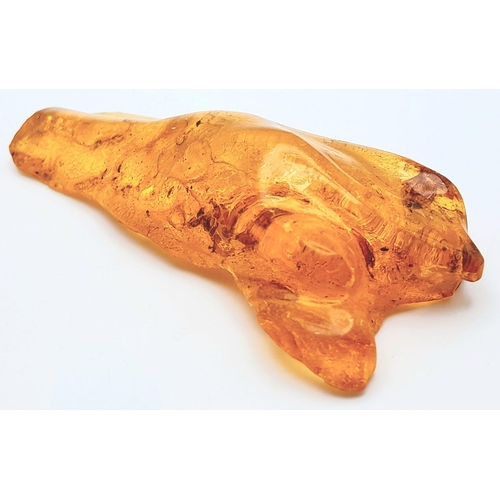 129 - A very collectable natural piece of amber with nine (yes, nine!) insect inclusions. Origin: Madagasc... 