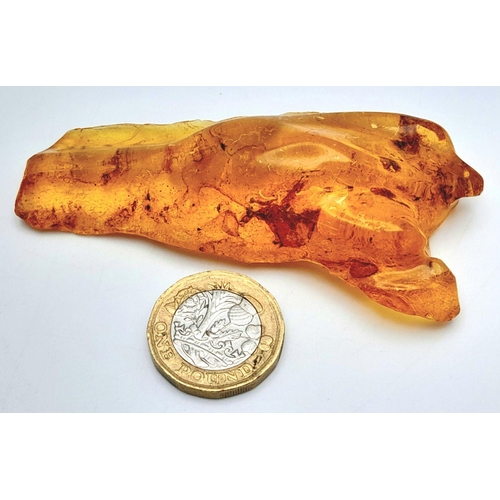 129 - A very collectable natural piece of amber with nine (yes, nine!) insect inclusions. Origin: Madagasc... 