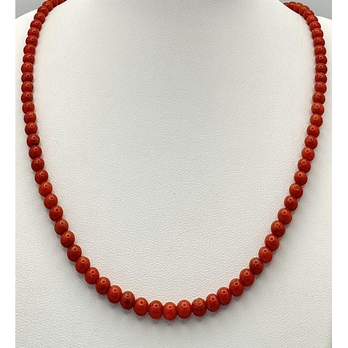 597 - A Vintage Red Coral Necklace. 46cm.