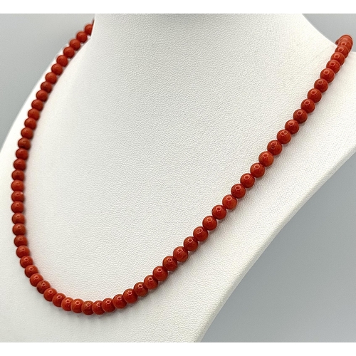 597 - A Vintage Red Coral Necklace. 46cm.