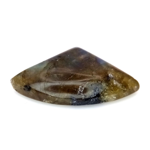 1491 - An 11.90 Ct Cabochon Labradorite Gemstone, Fancy Cut Shape, GLI Certified. VU105