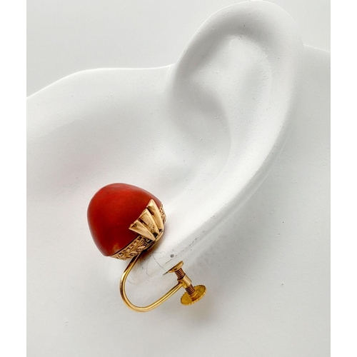 218 - A Pair of Antique 9K Gold and Red Coral Domed Earrings.
Beautifully constructed with screw clasps. 9... 