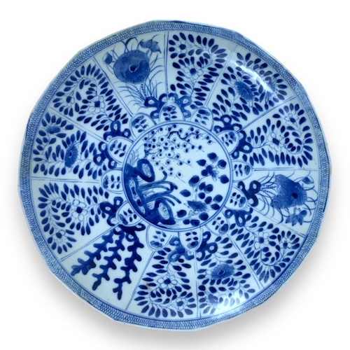 923 - An antique Chinese Kangxi Blue and White Porcelain Plate. Hand-painted cobalt blue floral and fish m... 