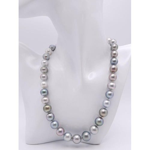 442 - A Mesmerising Tahitian Pearl Necklace. Different shades of greys and silvers. Diamond encrusted glit... 