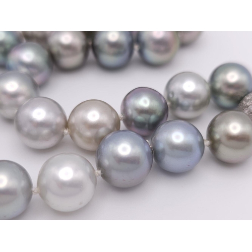 442 - A Mesmerising Tahitian Pearl Necklace. Different shades of greys and silvers. Diamond encrusted glit... 