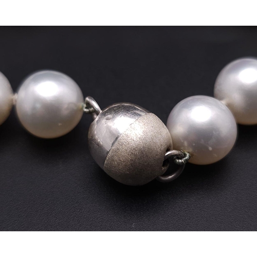 785 - A Sumptuous Natural South Sea White Pearl Necklace. Rich white 8-14mm pearls with silver clasp. 42cm... 