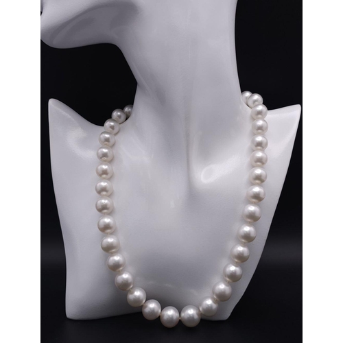 785 - A Sumptuous Natural South Sea White Pearl Necklace. Rich white 8-14mm pearls with silver clasp. 42cm... 