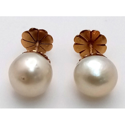 1347 - A Vintage Pair of 9K Gold, Pearl Stud Earrings. 2.5g total weight.