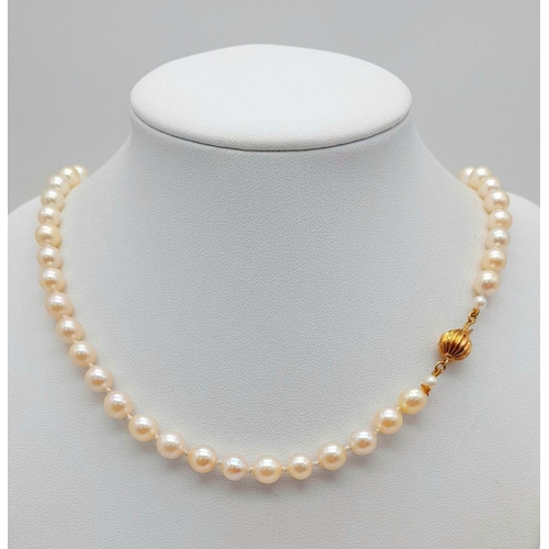 148 - A Cultured Pearl Necklace with a 14K Gold Ridged Bauble Clasp. Pearls - 7/8mm. Necklace length - 48c... 