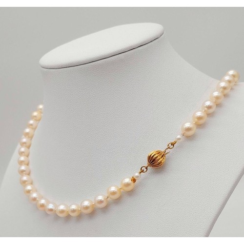 148 - A Cultured Pearl Necklace with a 14K Gold Ridged Bauble Clasp. Pearls - 7/8mm. Necklace length - 48c... 