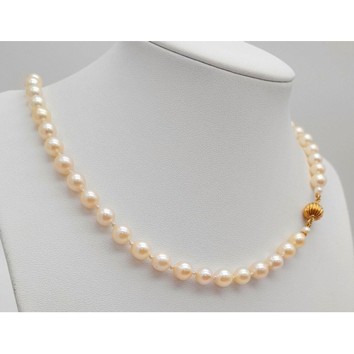 148 - A Cultured Pearl Necklace with a 14K Gold Ridged Bauble Clasp. Pearls - 7/8mm. Necklace length - 48c... 