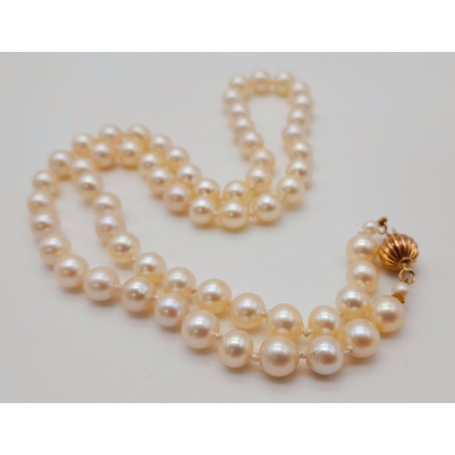 148 - A Cultured Pearl Necklace with a 14K Gold Ridged Bauble Clasp. Pearls - 7/8mm. Necklace length - 48c... 