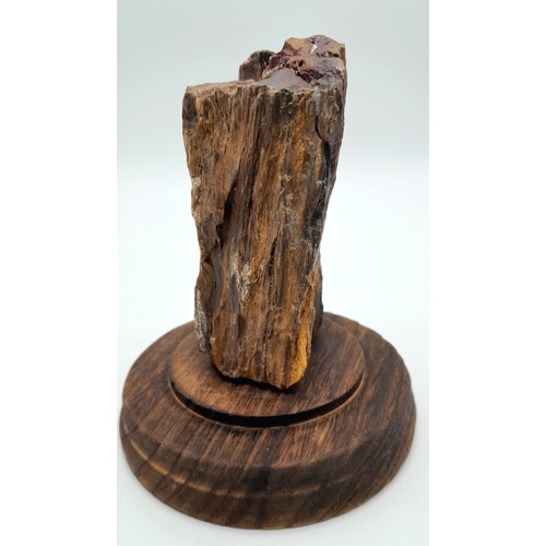 269 - A rare agatized fossil wood from the Petrified Forrest of Lesvos, of “Outstanding Universal Value” a... 